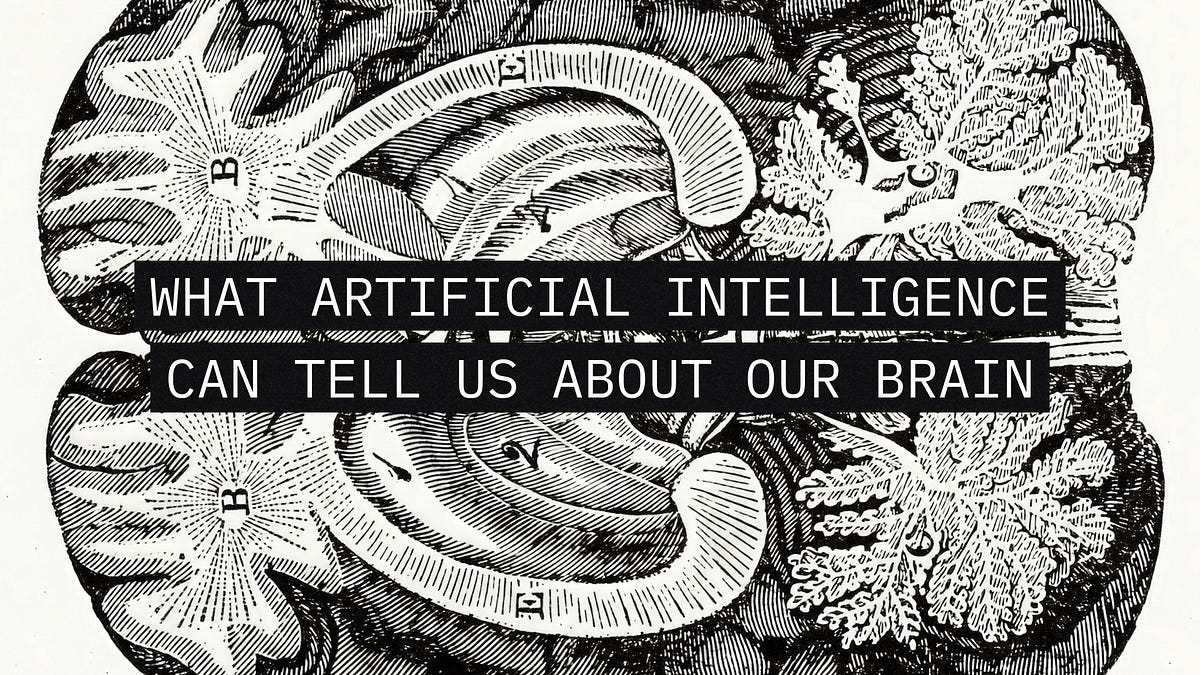 LLMs in Psycholinguistics: What Artificial Intelligence Can Tell Us About Our Brain